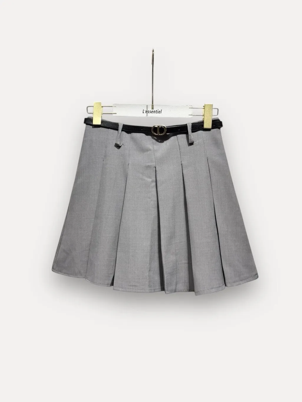 Aepleated Trapeze Skirt