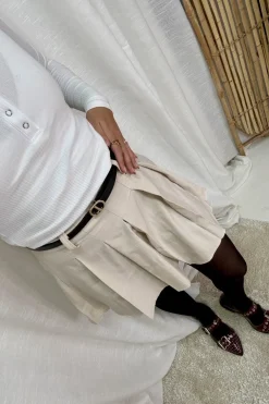 Aepleated Trapeze Skirt
