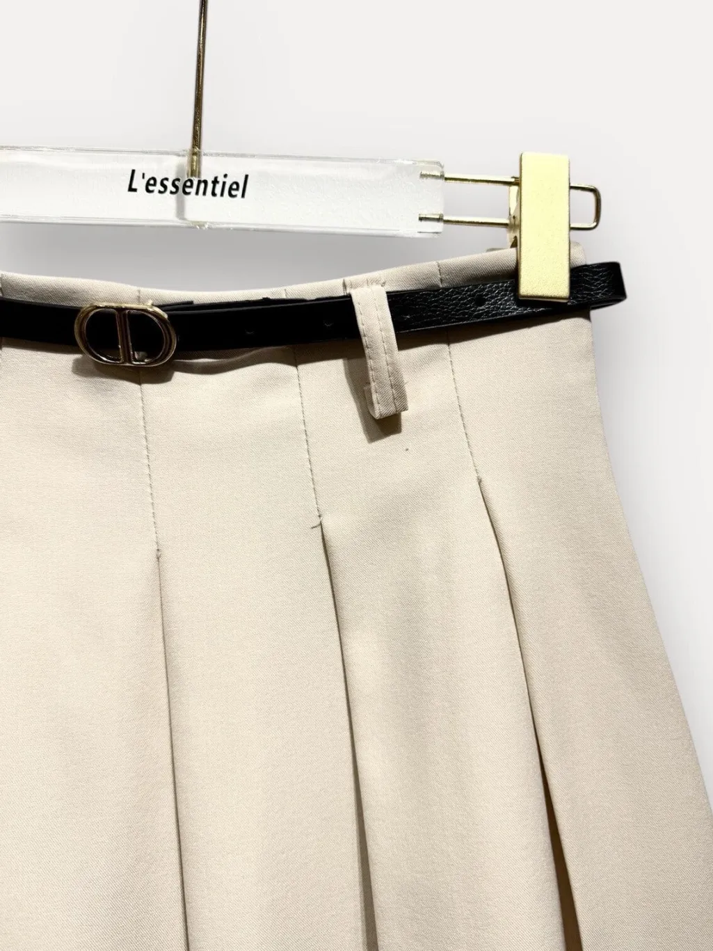 Aepleated Trapeze Skirt