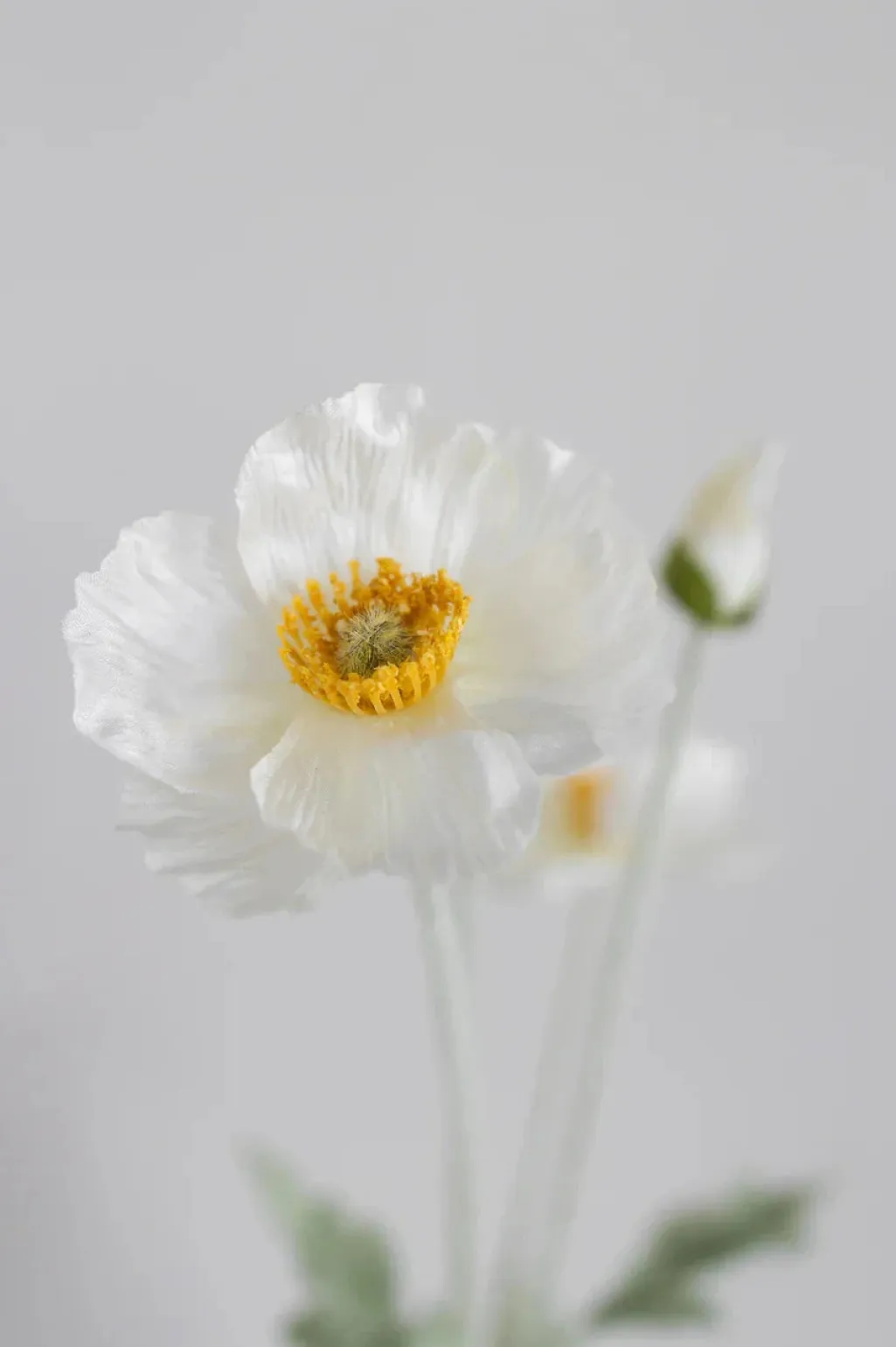 Artificial Cream Poppy 02-132