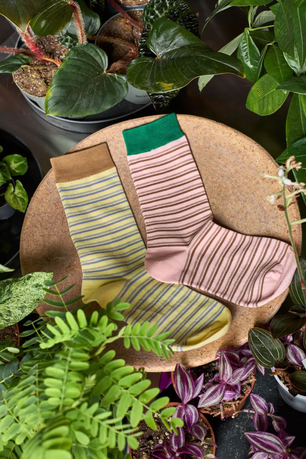 Bcliri Sock 8510