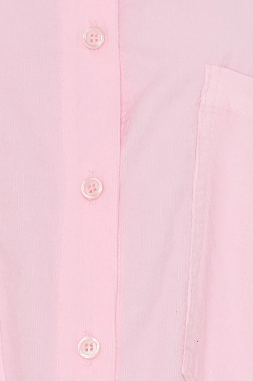 Ccoline Shirt 258037