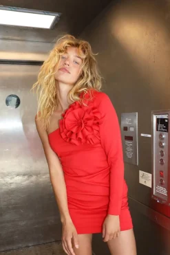 Crsamcras Dress