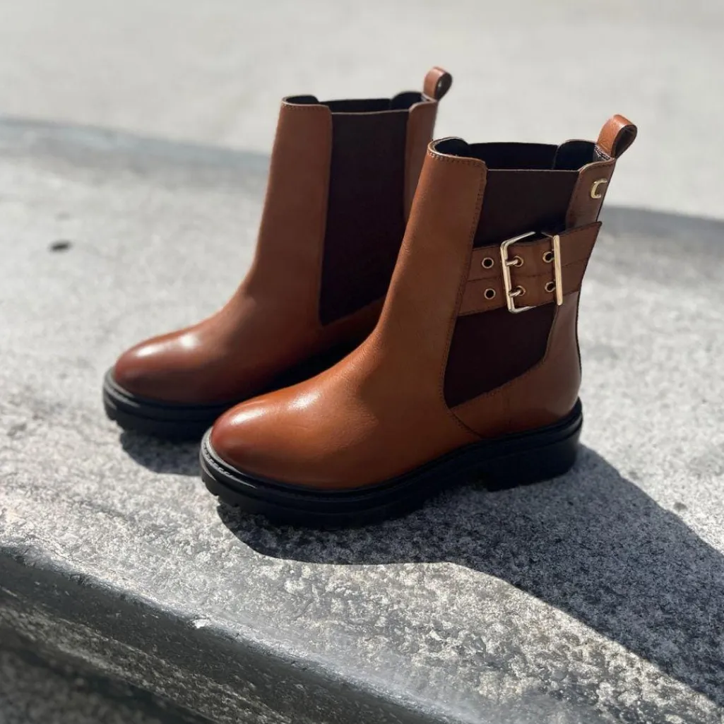 Csits Like Fall