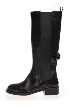 Csmagic Fall High CS8810