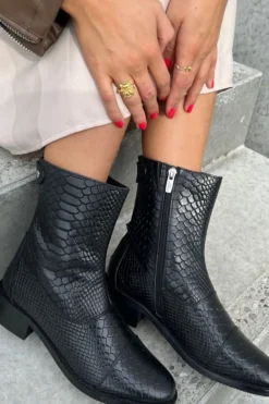 Csshe Croco