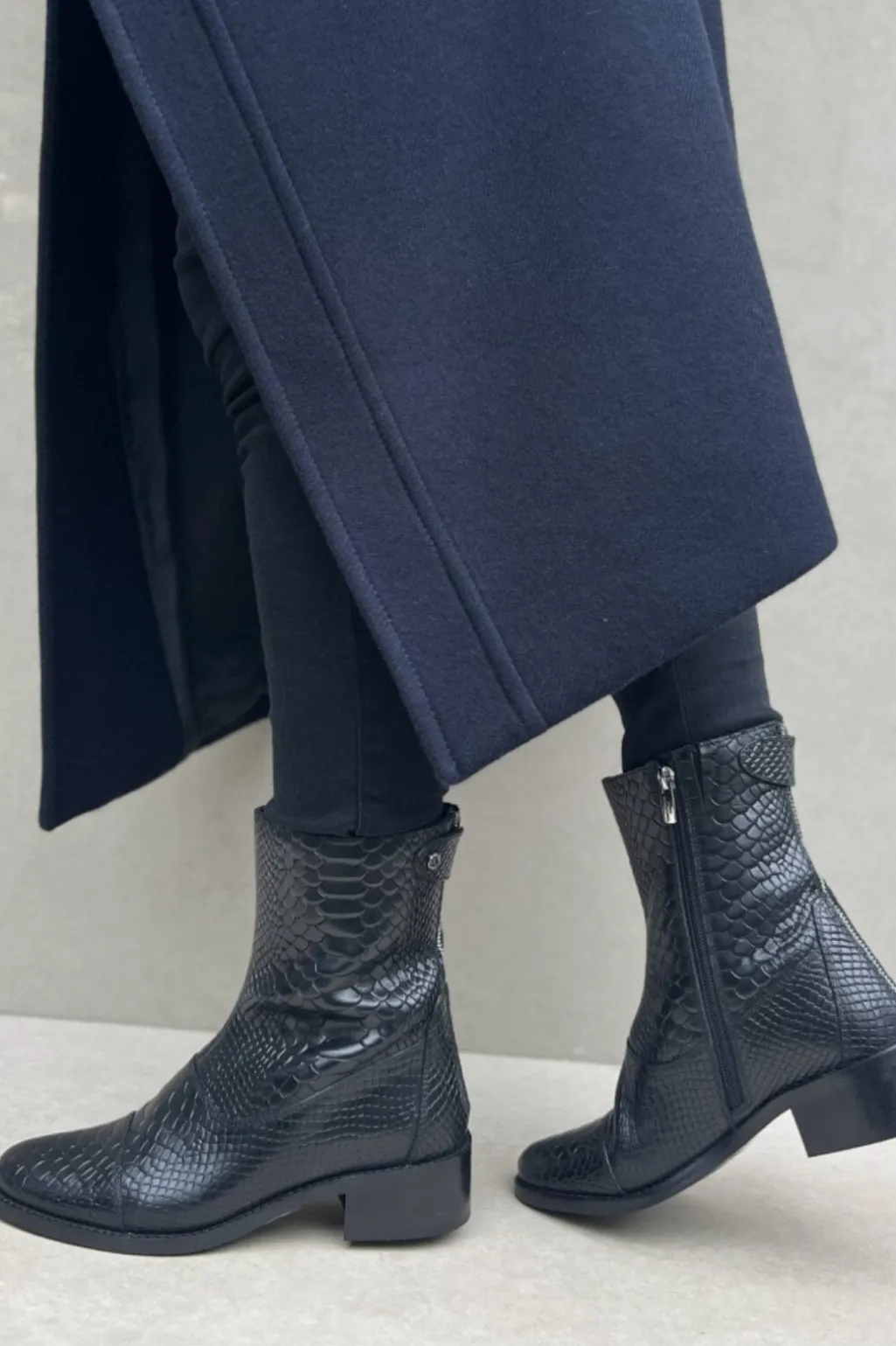 Csshe Croco