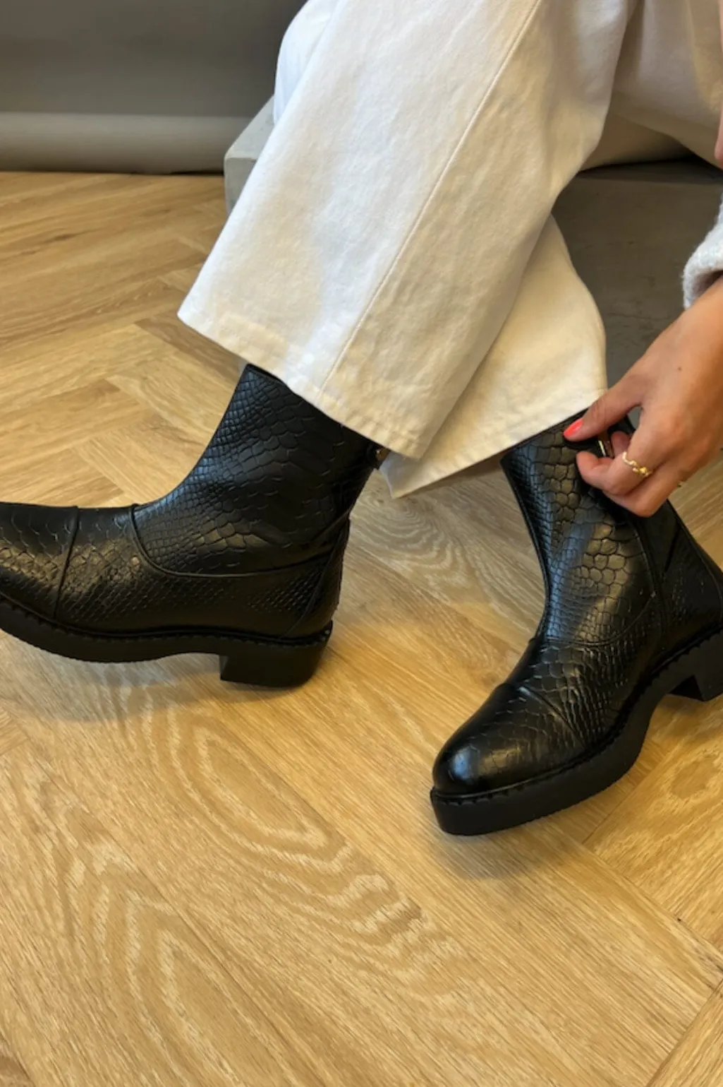 Csshe Croco