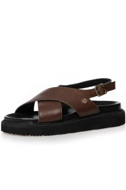 Cssummertime CS7027