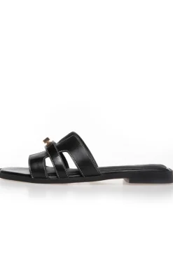 Cswomen'S World CS8463