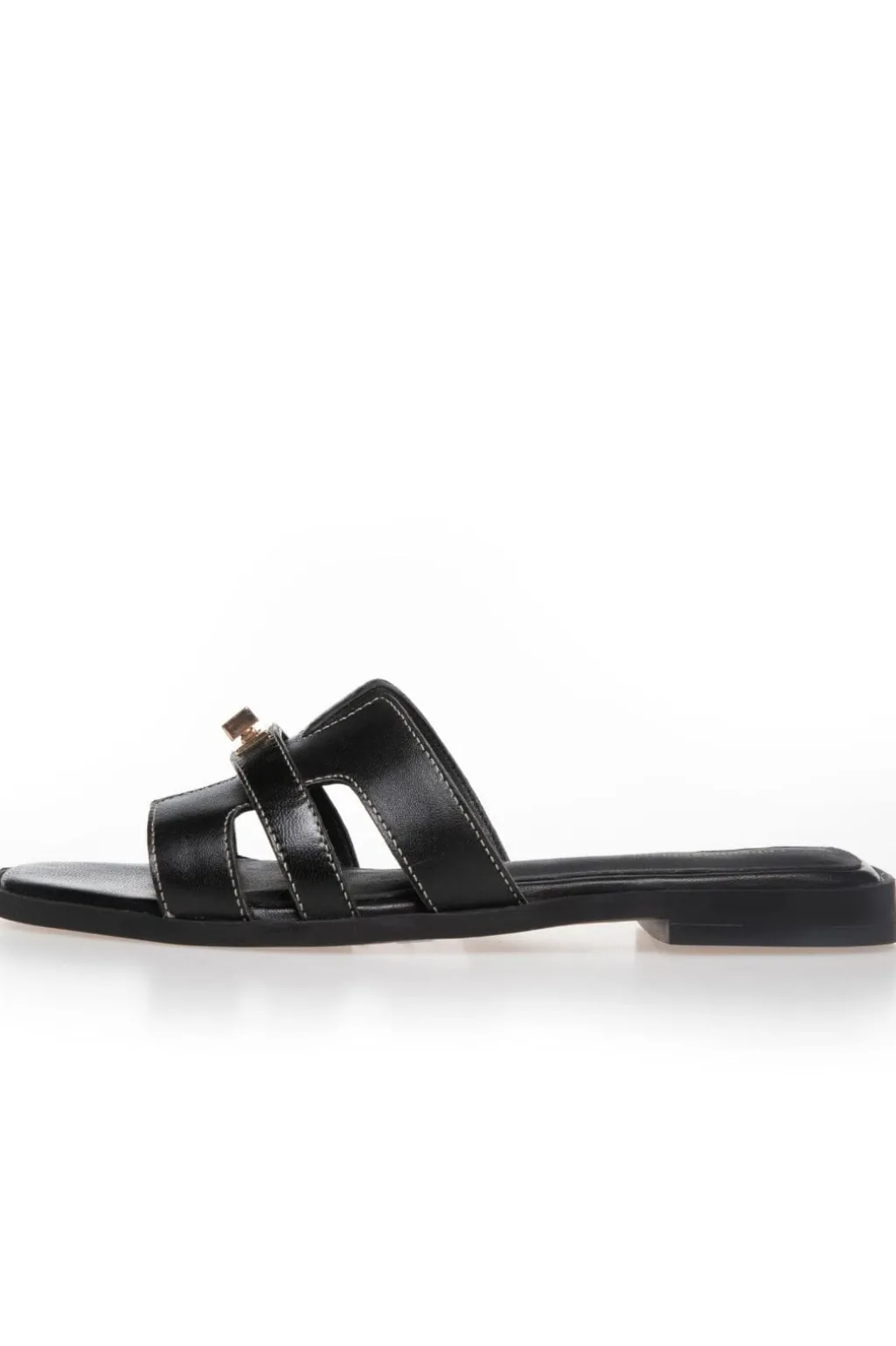 Cswomen'S World CS8463