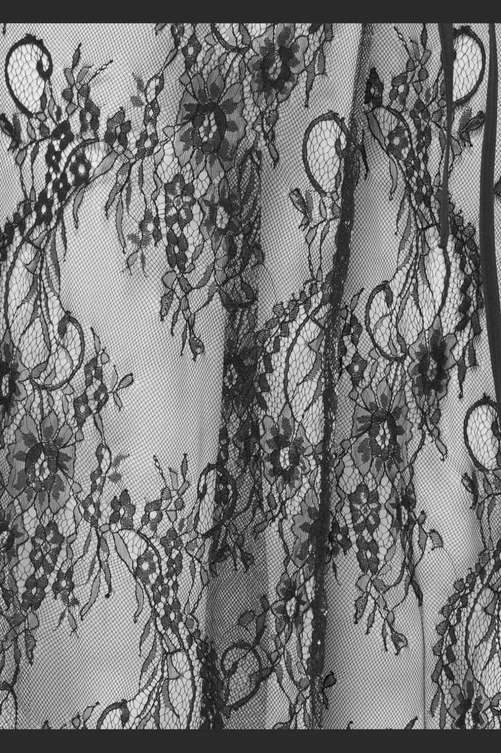 Jdywinnie Lace Scarf