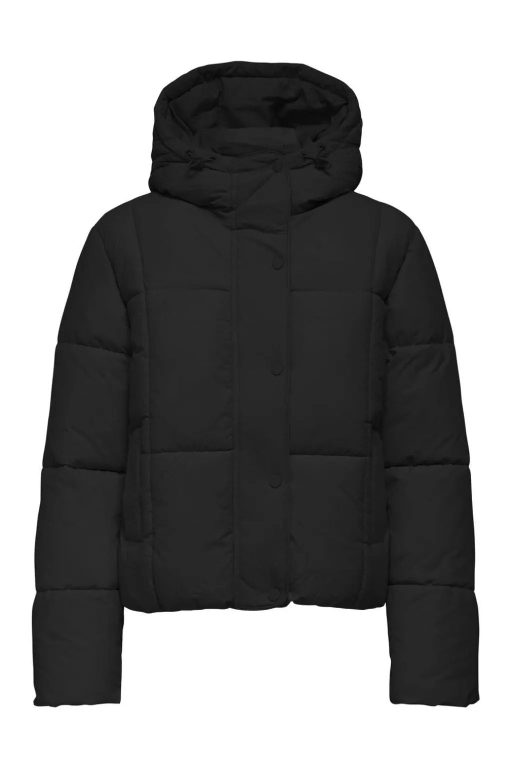 Jdywonder Short Hood Puffer Sij