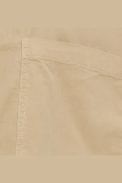 Mdccoline Shirt 258037