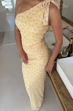 Novaic Mesh Dress A23962