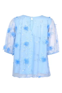Spgemba-Ss 19562