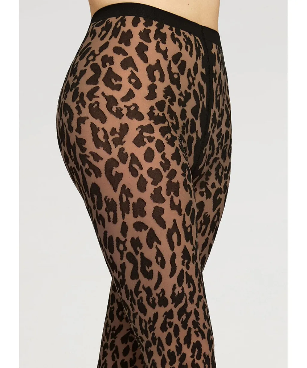 Wdleo Tights14901