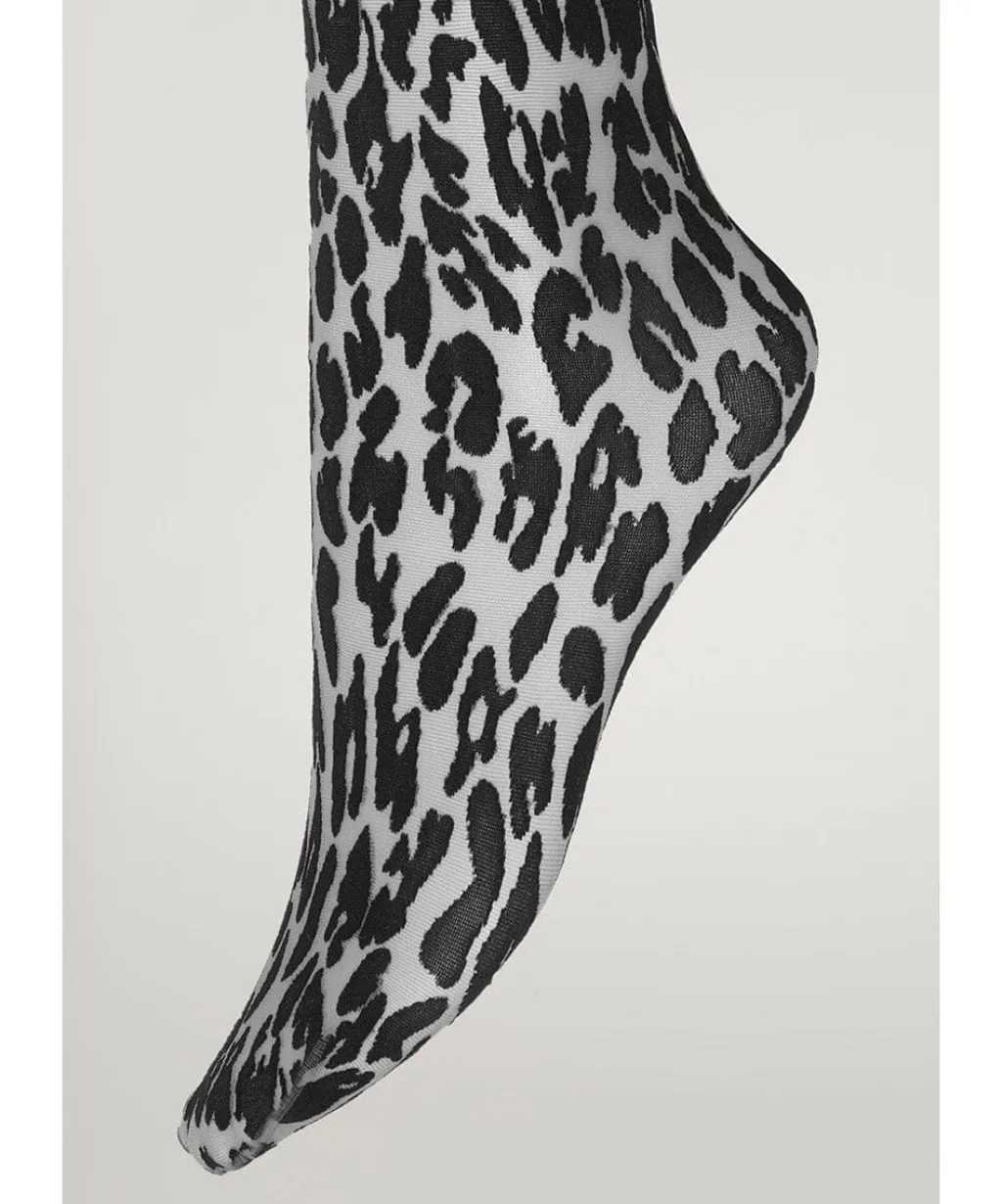 Wdleo Tights14901